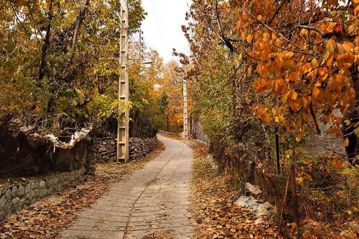 سفر به روستای افجه؛ سرزمین باغ‌ها و میوه‌های بهشتی
