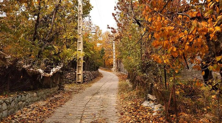 سفر به روستای افجه؛ سرزمین باغ‌ها و میوه‌های بهشتی
