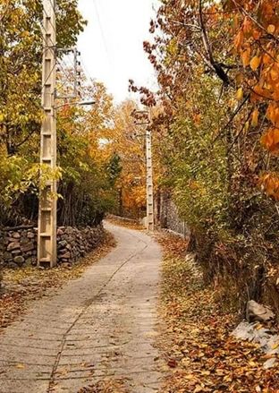 سفر به روستای افجه؛ سرزمین باغ‌ها و میوه‌های بهشتی
