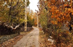 سفر به روستای افجه؛ سرزمین باغ‌ها و میوه‌های بهشتی
