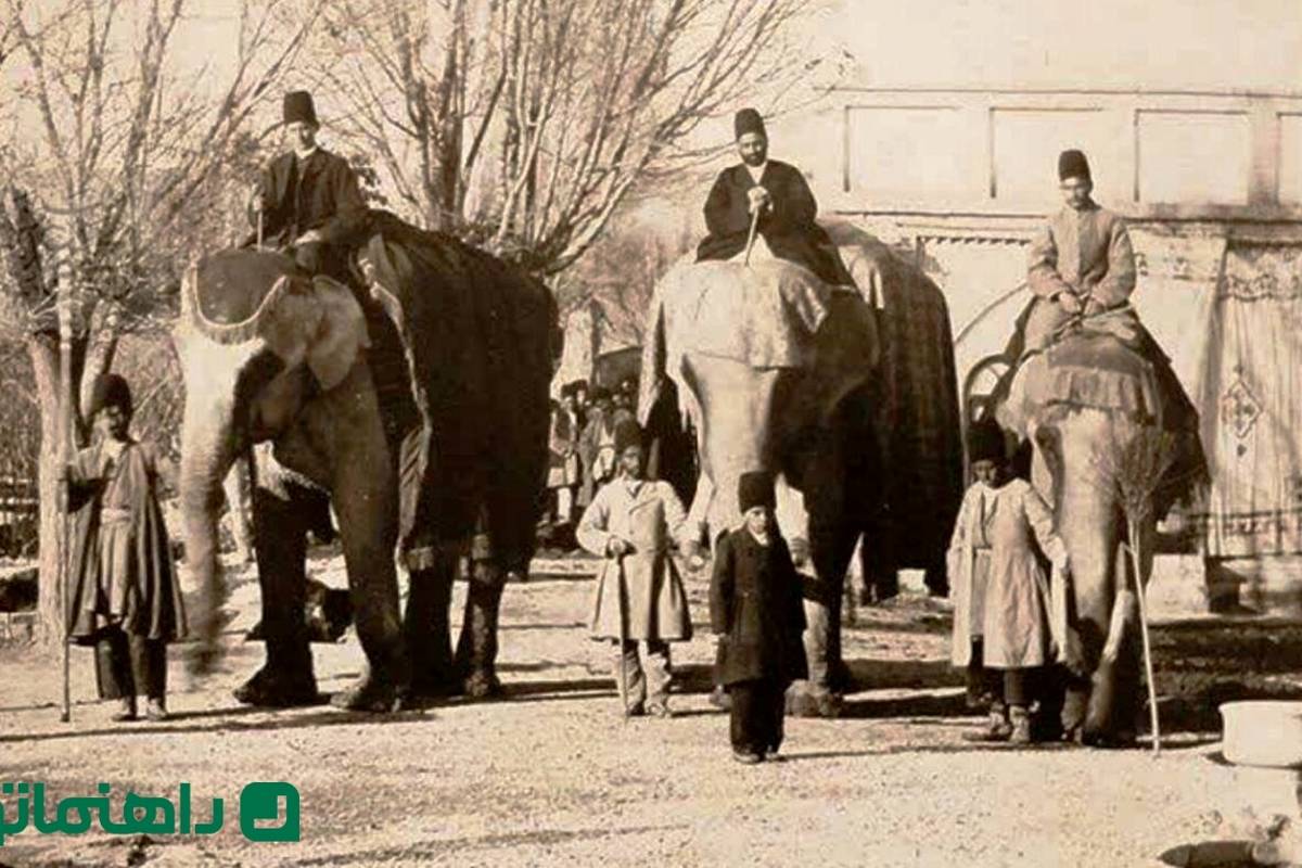 فیل جنگی ارتش ناصرالدین شاه قاجار + عکس