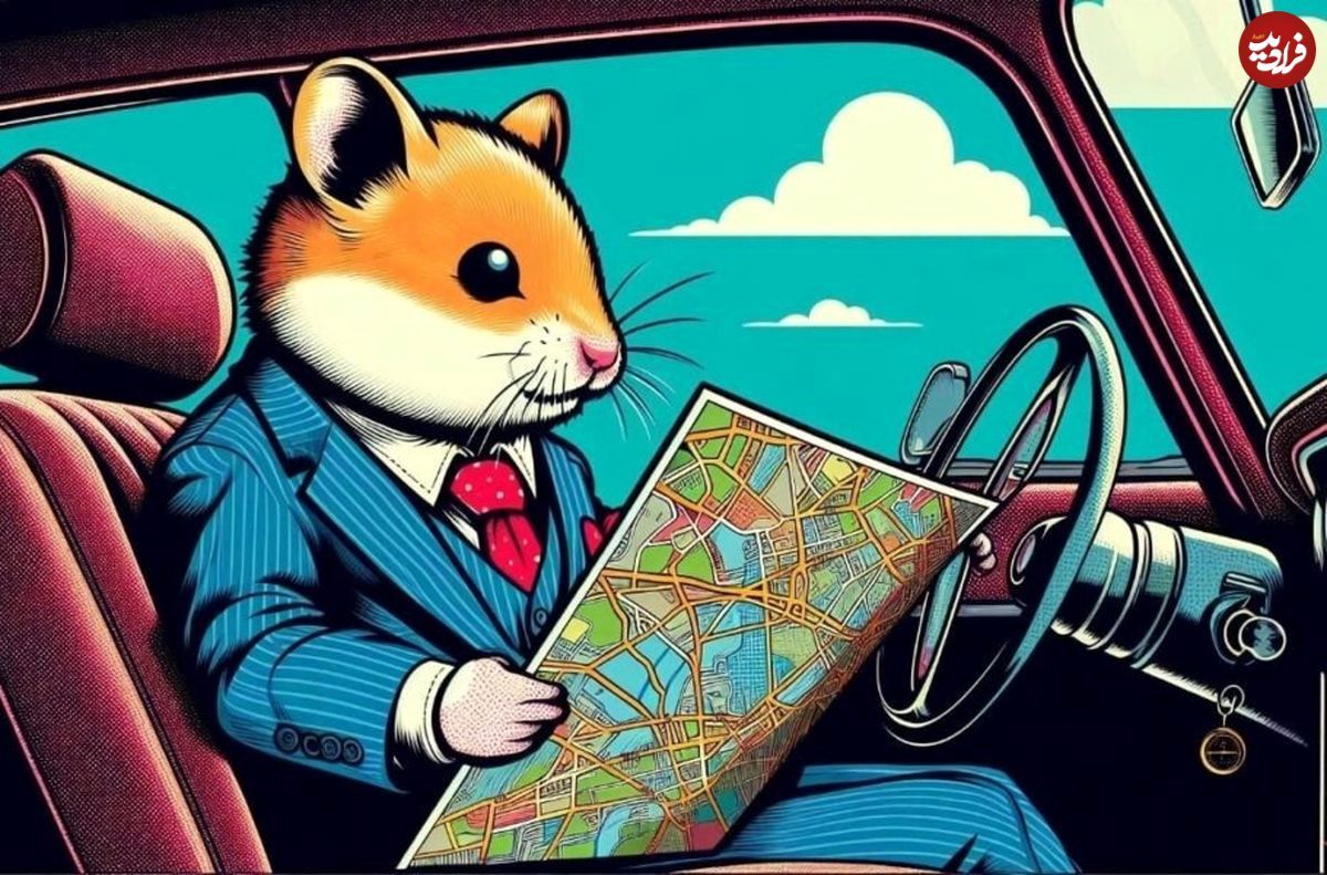 همستر کامبت پس از ایردراپ، نقشه راه آینده خود را اعلام کرد