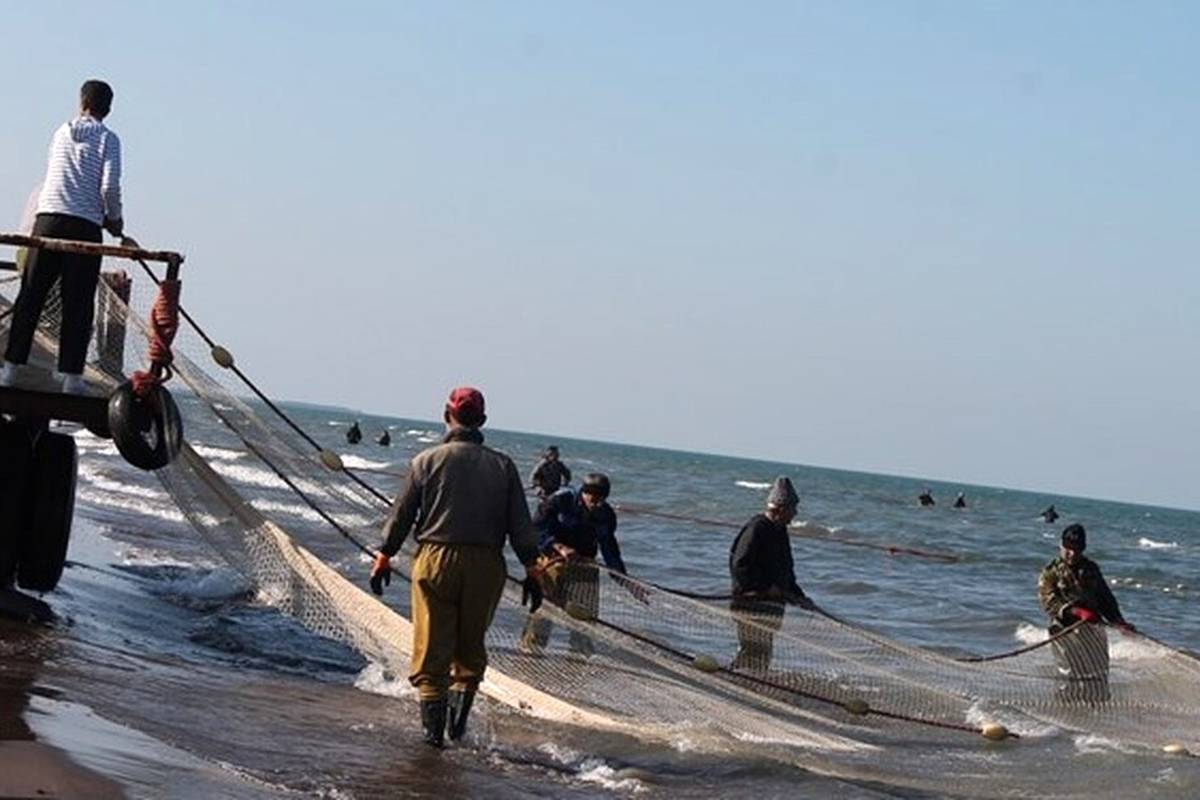 صید ماهی عجیب و غریب در انزلی؟! شیلات بیانیه داد
