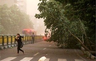 وضعیت آب و هوا امروز جمعه 9 خرداد 1404/ پیش بینی وضعیت هوا فردا شنبه 10 خرداد