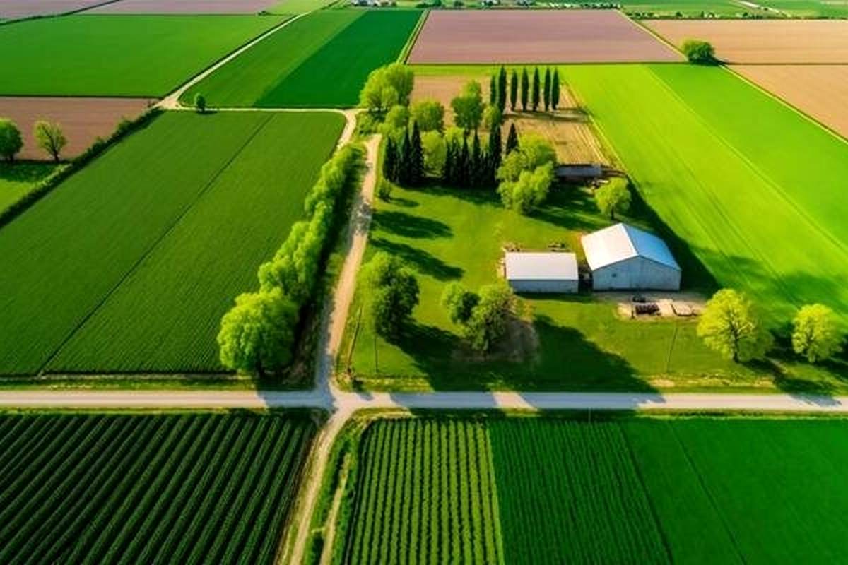 چرا دانمارک زمینهای کشاورزی را به جنگل تبدیل میکند؟