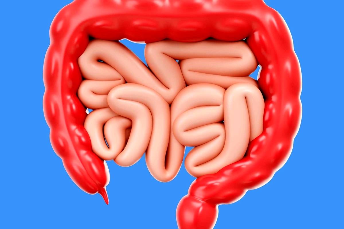  عواملی که منجر به بروز سرطان‌های گوارشی می‌شود 