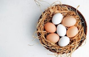 شرایط نگهداری تخم‌مرغ؛ یخچال یا بیرون از یخچال؟