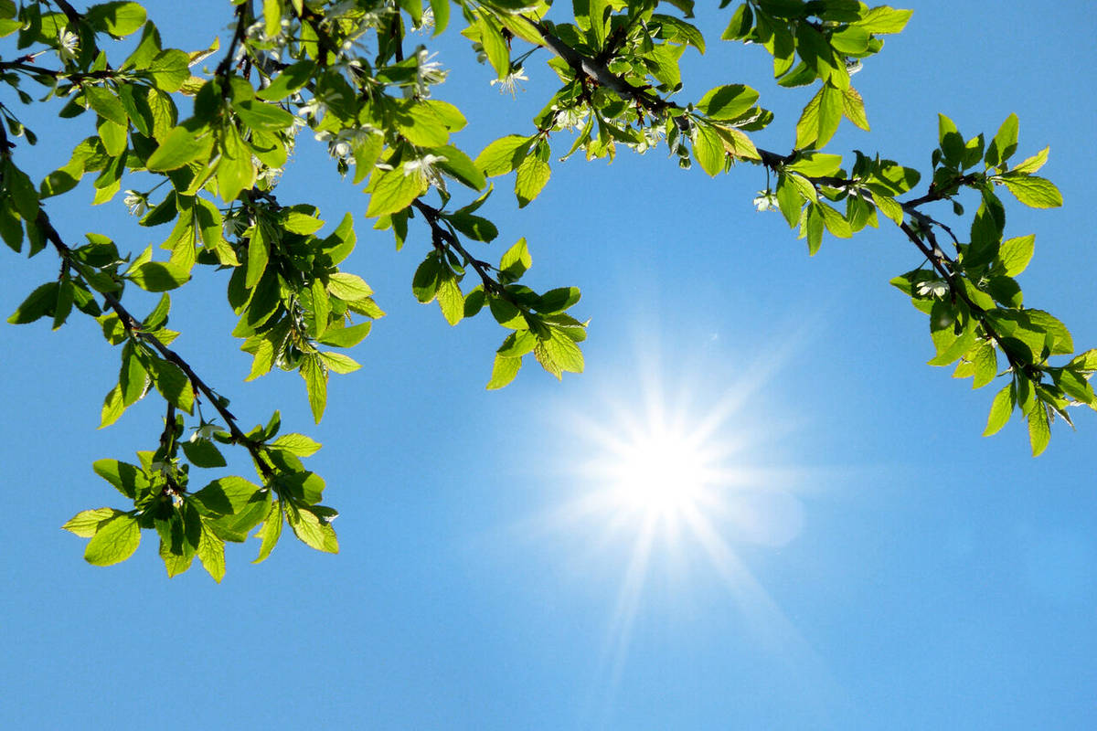 هوای تهران بهاری میشود؛ تجربه دمای ۲۱ درجه تا جمعه