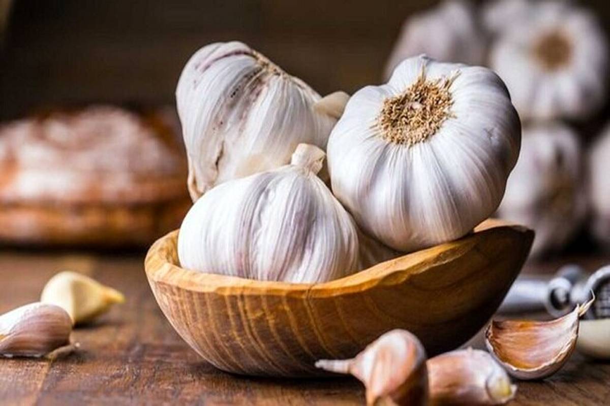خواص جادویی سیر که از آن بی خبرید