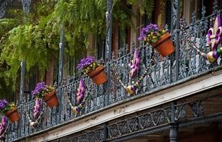 گل‌های بهاری 1404: بنفشه‌هایی که در بالکن شما سلطنت می‌کنند