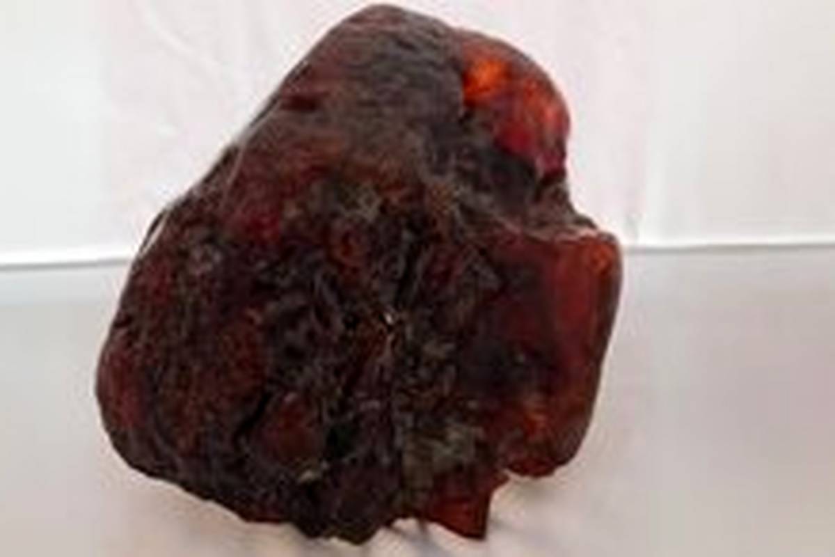 یک تکه سنگ از خانه مادربزرگ، 1.1 میلیون دلار قیمتگذاری شد! + ویدئو