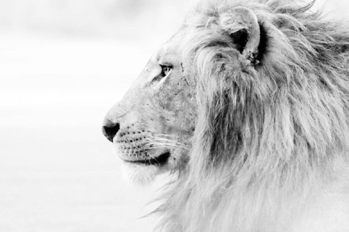5روش برای شجاعتر شدن