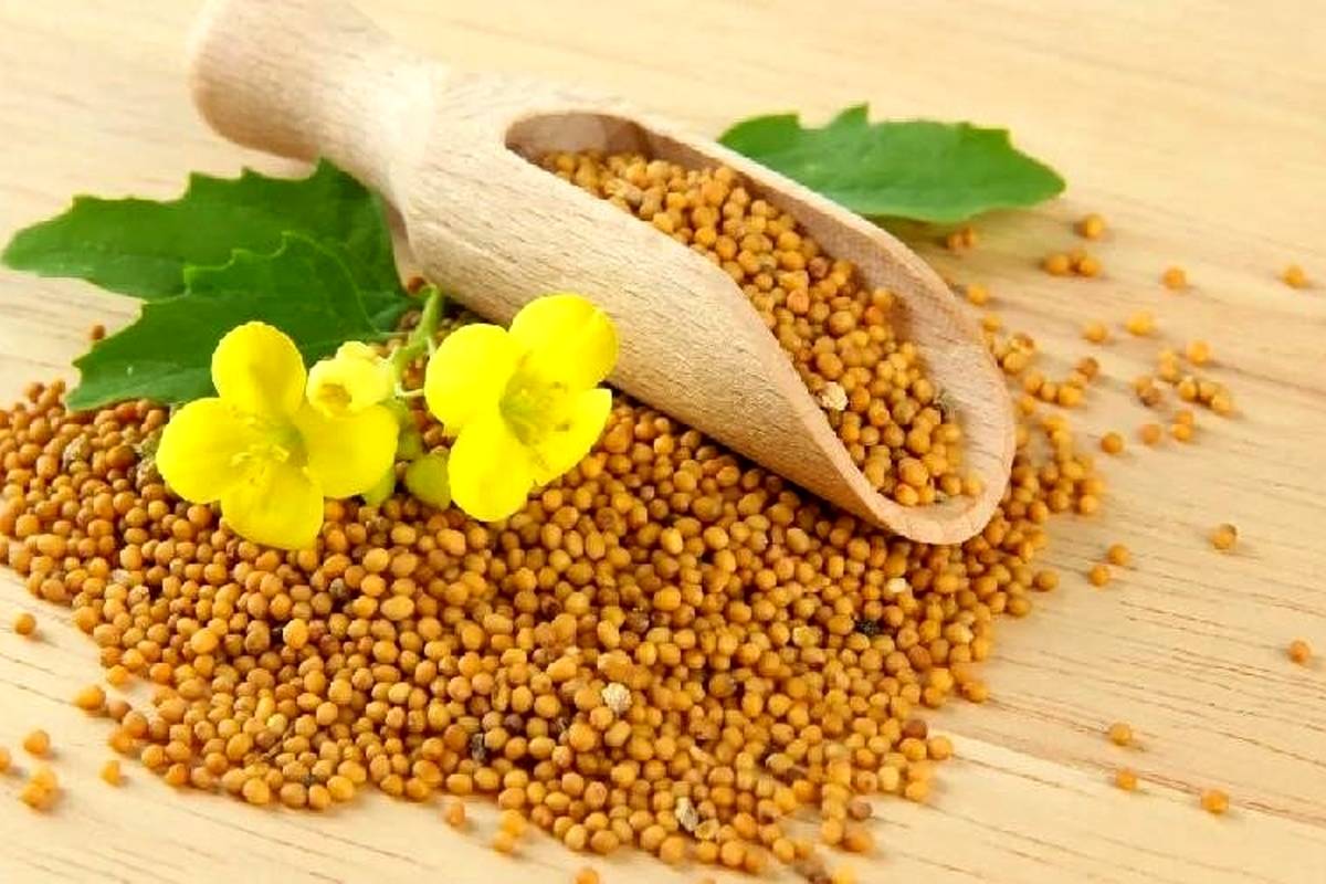 خواص شگفت انگیز گیاه خردل که از آن بیخبر هستید!