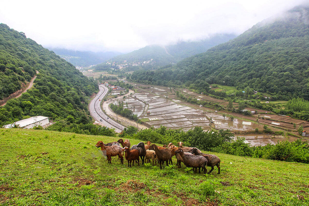 سفر یک روزه به کجای مازندران برویم ؟ سفر به زیراب سوادکوه