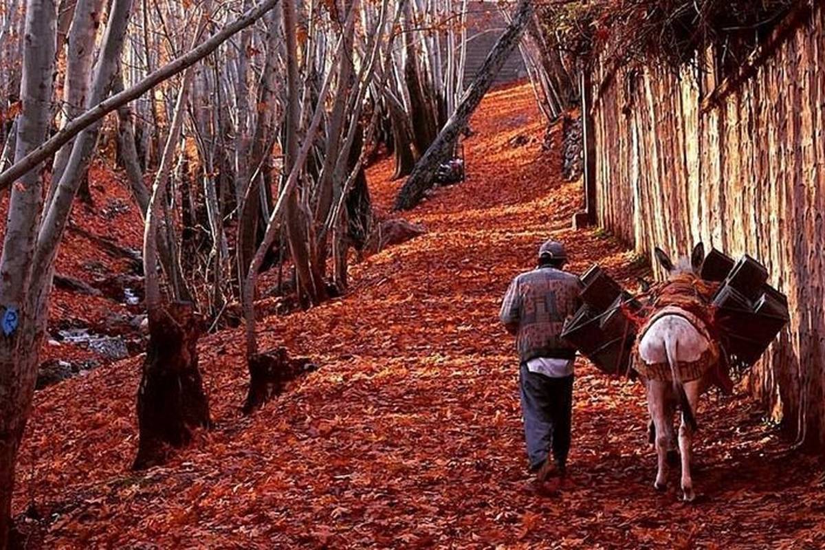 زیباترین روستاهای اطراف تهران در فصل پاییز؛ جلوه خیالانگیز پادشاه فصلها در همین نزدیکی