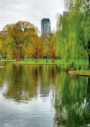 خنک ترین پارک های تهران برای تفریح در گرمای مرداد