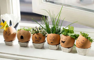 آموزش سبز کردن سبزه در پوسته تخم مرغ