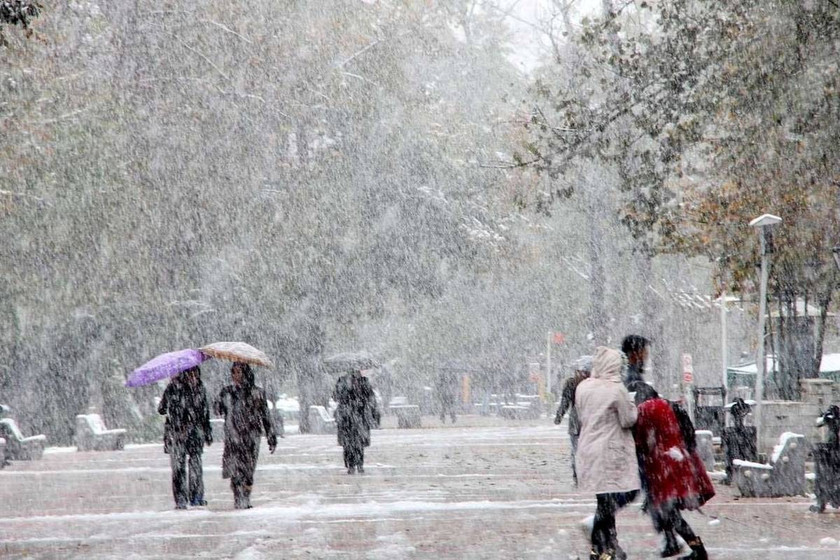 بارش برف مدارس کدام استانها را تعطیل کرد؟