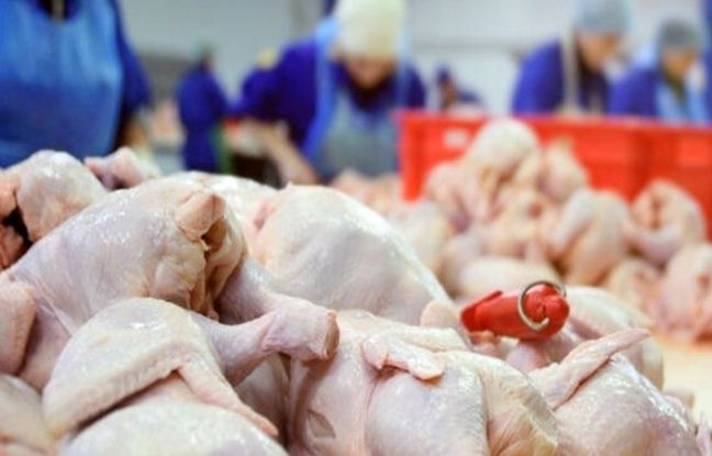 راهنمای بازار؛ قیمت گوشت مرغ، امروز ۱۴ اردیبهشت ۱۴۰۴
