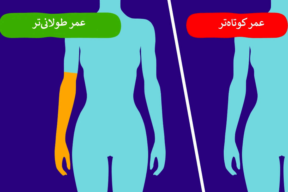 ۸ واقعیت درباره بدن شما که نشان میدهد عمر طولانیتری خواهید داشت