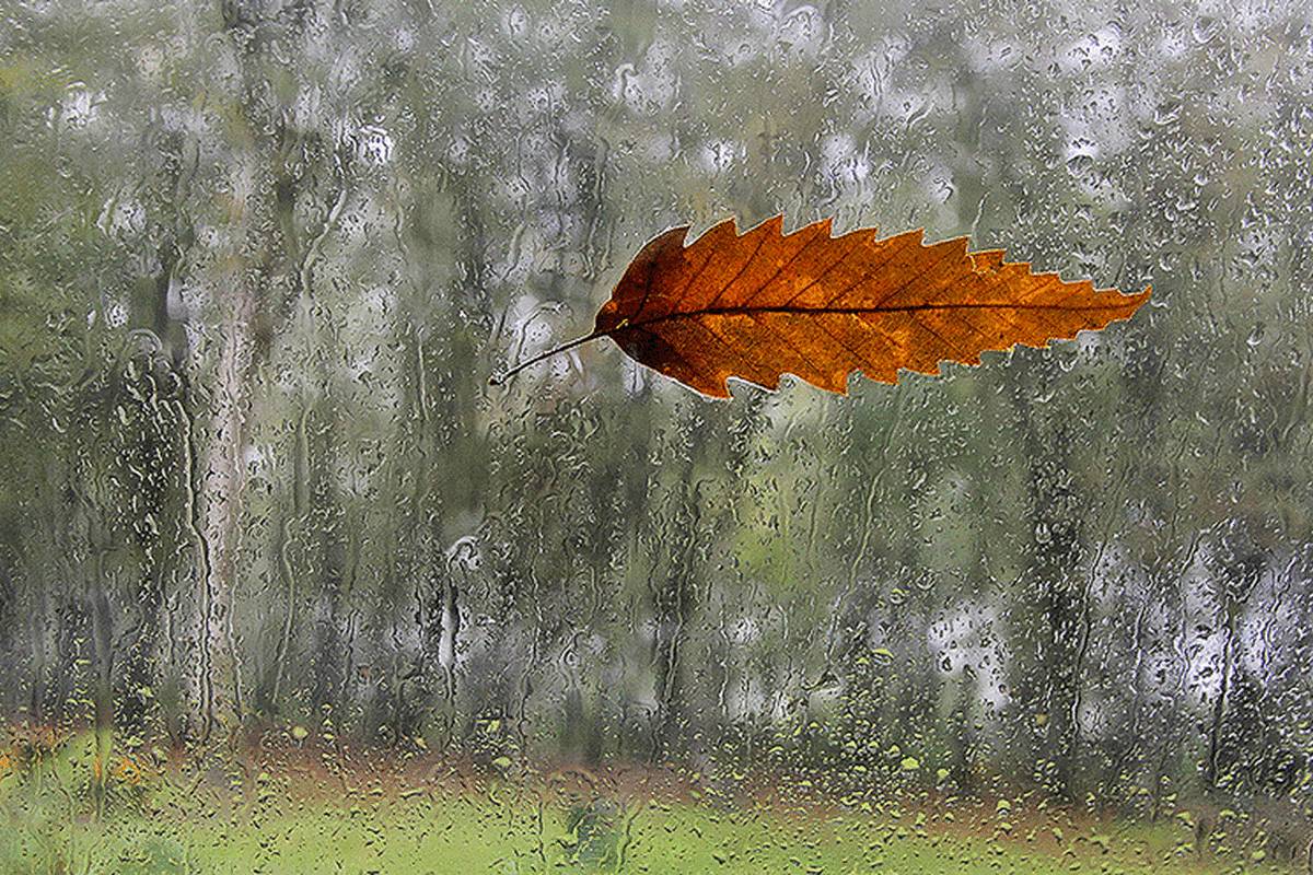 پیشبینی هوا تا پایان هفته؛ تهران سرد میشود؟