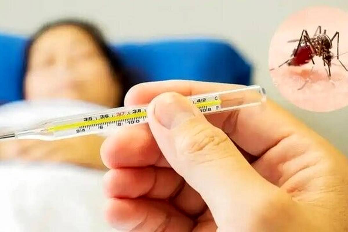 تب دنگی چقدر خطرناک است؟/ این افراد نوع شدید دنگی را میگیرند
