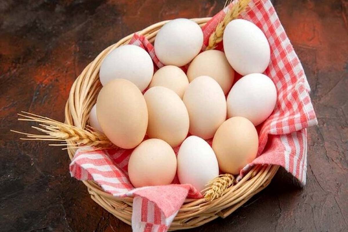 میزان پروتئین موجود در تخممرغ چقدر است؟