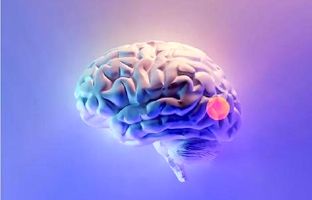 شناسایی ۱۰ ثانیه‌ای تومورهای مغزی قسر در رفته توسط هوش مصنوعی