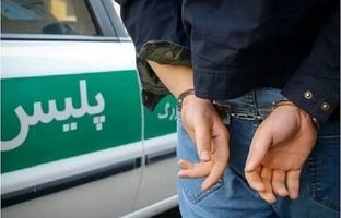  ویدیویی عجیب از دستگیری یک متهم حین سرقت خودرو + ویدئو