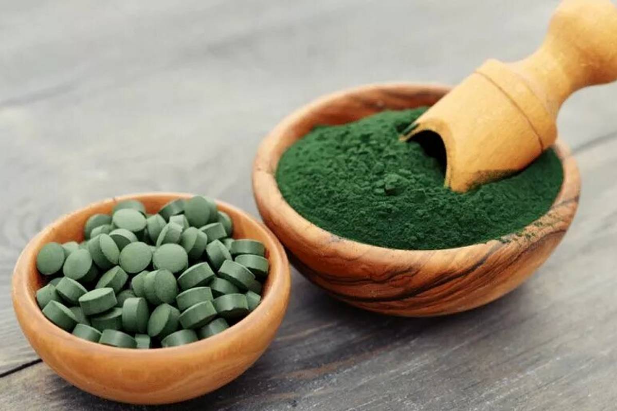 پودر جلبک دریایی واقعا لاغر میکند؟