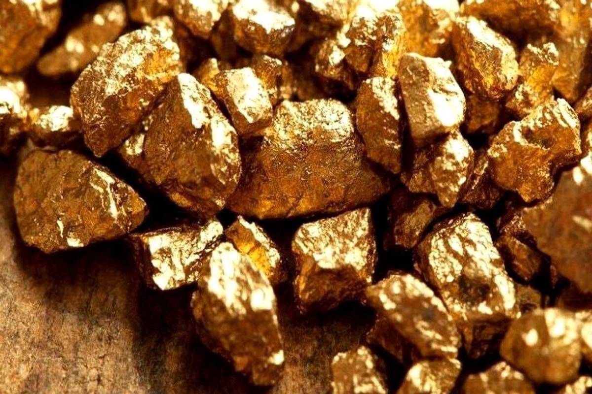 کشف گنج ۱۳ میلیونتنی در ارتفاع ۵ هزار متری!