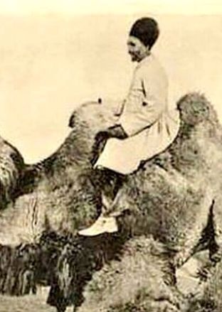 بیشترین ترافیک شترها در تهران قدیم در این خیابان بود + تصویر