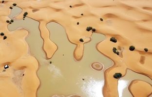 تصاویر هوایی از سیل بی‌سابقه در صحرای بزرگ آفریقا + ویدئو